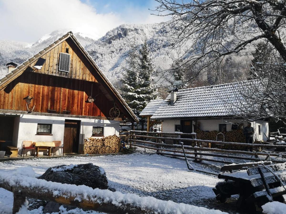 Lizina Hiska House Bohinj Villa Bohinjska Bistrica Bagian luar foto