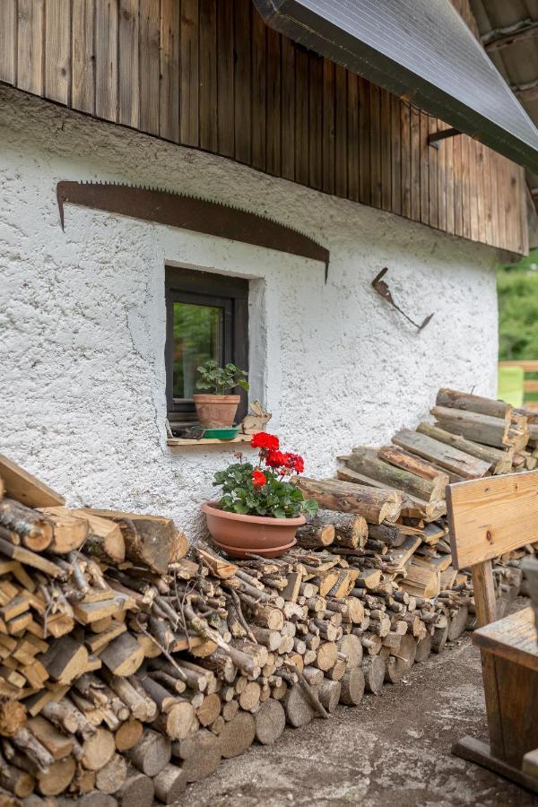 Lizina Hiska House Bohinj Villa Bohinjska Bistrica Bagian luar foto