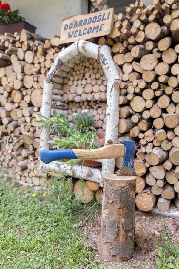 Lizina Hiska House Bohinj Villa Bohinjska Bistrica Bagian luar foto