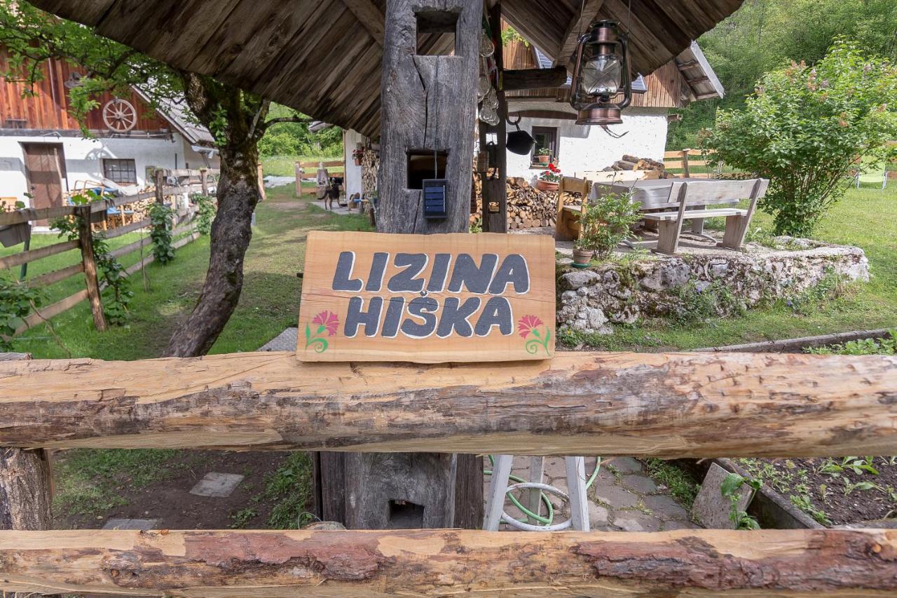 Lizina Hiska House Bohinj Villa Bohinjska Bistrica Bagian luar foto