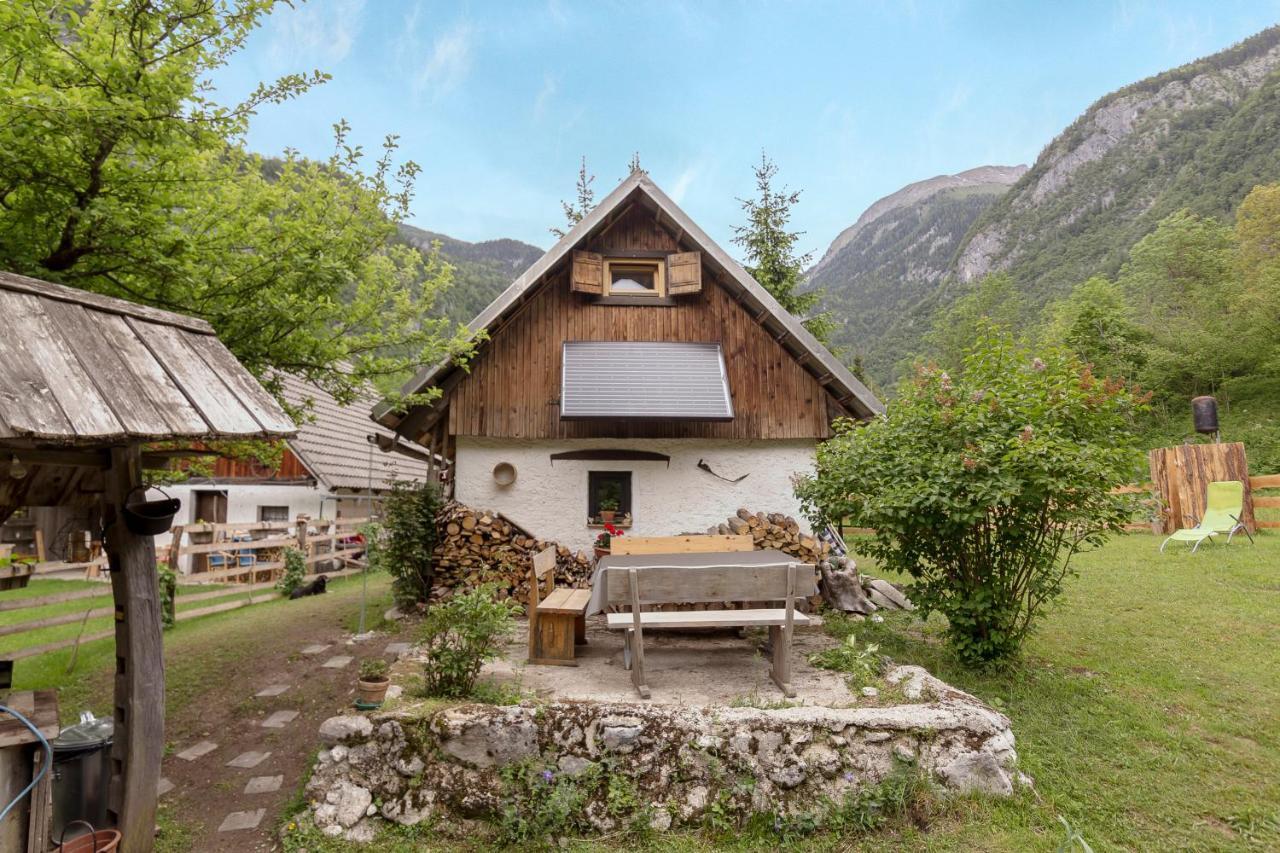 Lizina Hiska House Bohinj Villa Bohinjska Bistrica Bagian luar foto