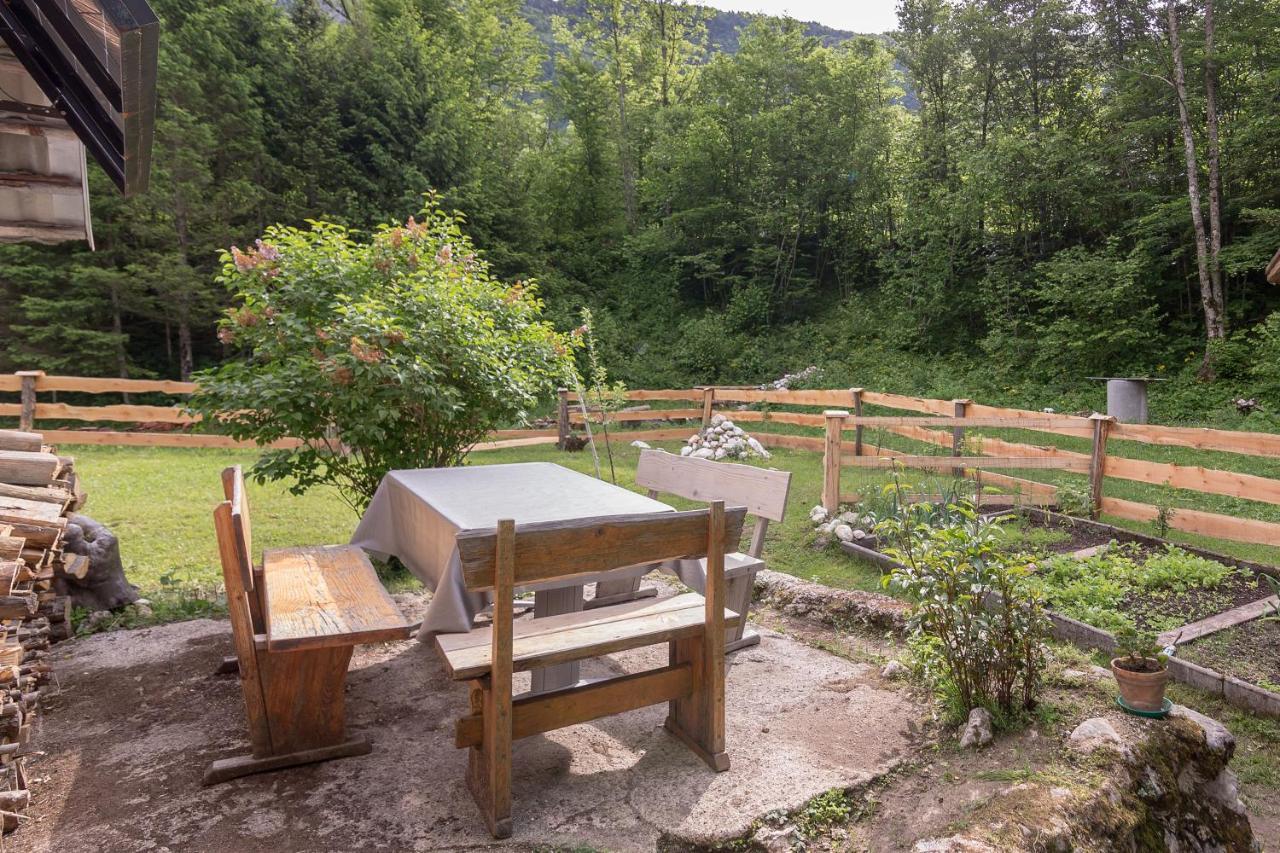 Lizina Hiska House Bohinj Villa Bohinjska Bistrica Bagian luar foto